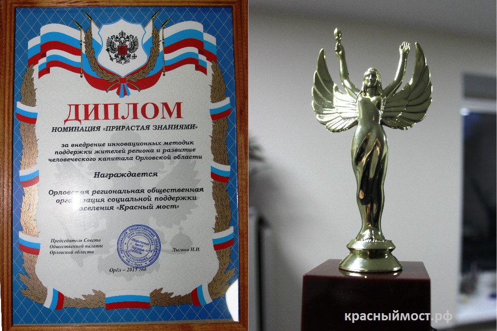 Диплом Общественной палаты Орловской области